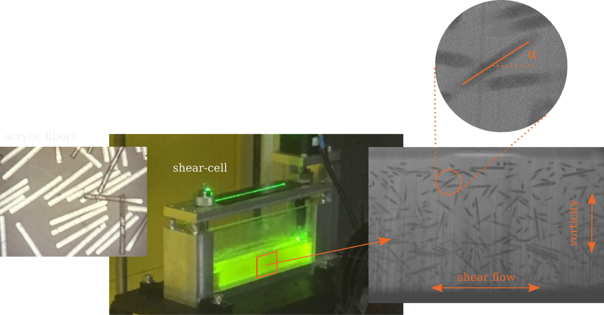 picture of flow cell and images from experiments