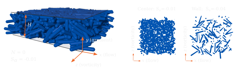 Illustrations of microstructure at N=0