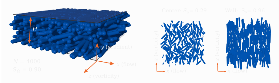 Illustrations of microstructure at N=4000