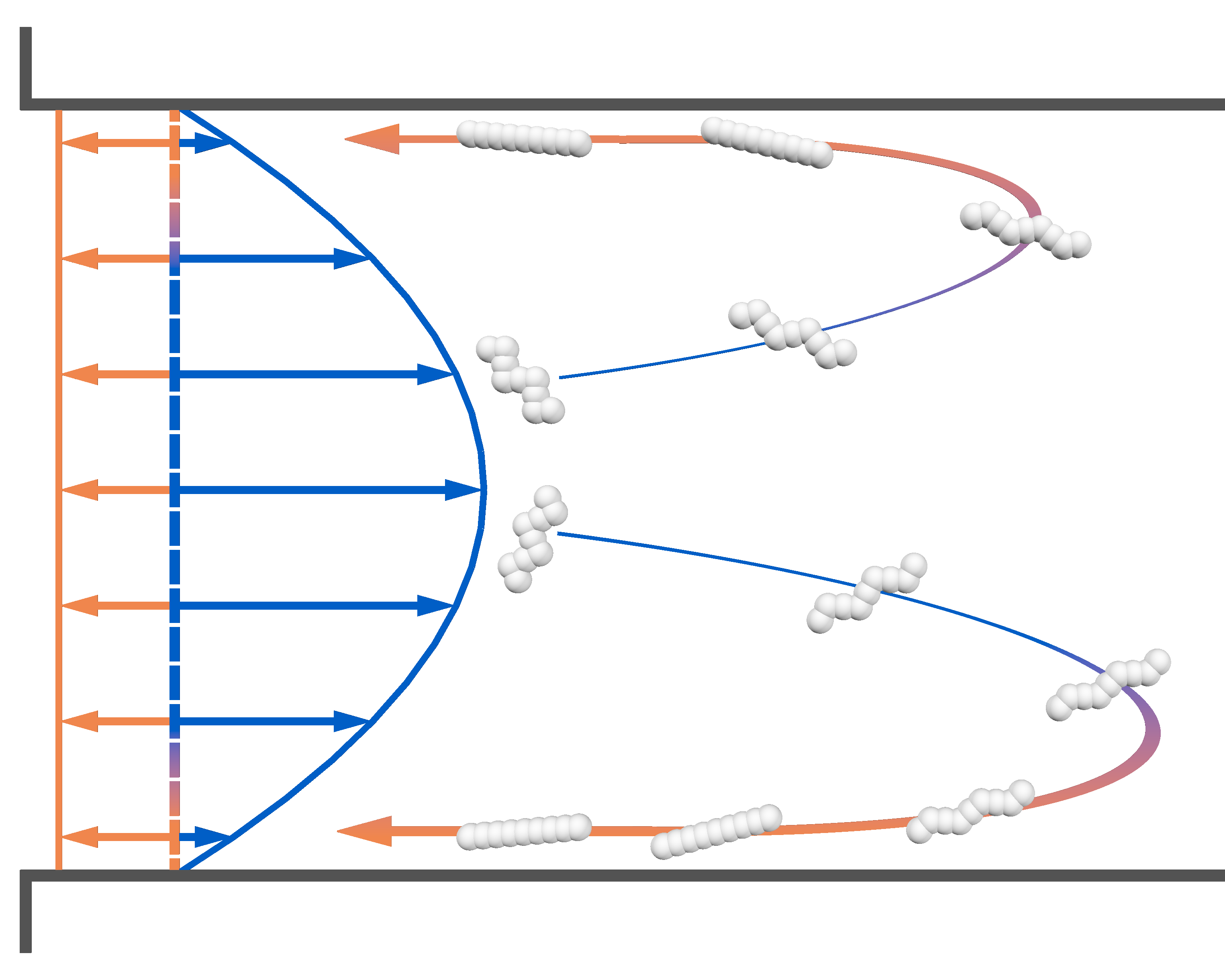 Illustration of the mechanism that causes the trapping of DNA.